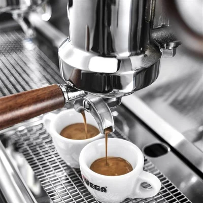 Wega VELA ALE2 Pistonlu Espresso Kahve Makinesi, 2 Grup