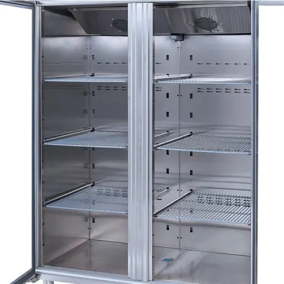 Gast DTCGB1200C Dikey Tip 2 Cam Kapılı Geniş Buzdolabı